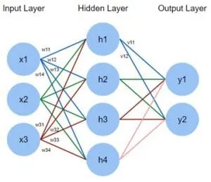 A-representation-of-Complex-Neural-Network.