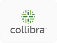 Data Governance 29 Collibra