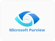 Data Governance 28 Microsoft Purview