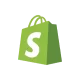Hire Dedicated Developers Team 80 Shopify