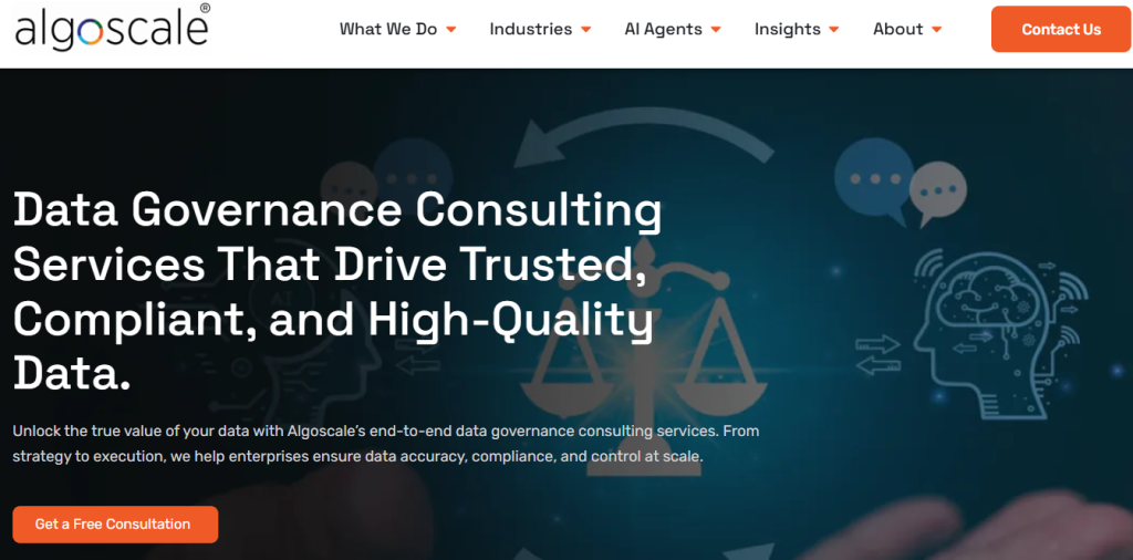 best data governance consultant in the usa