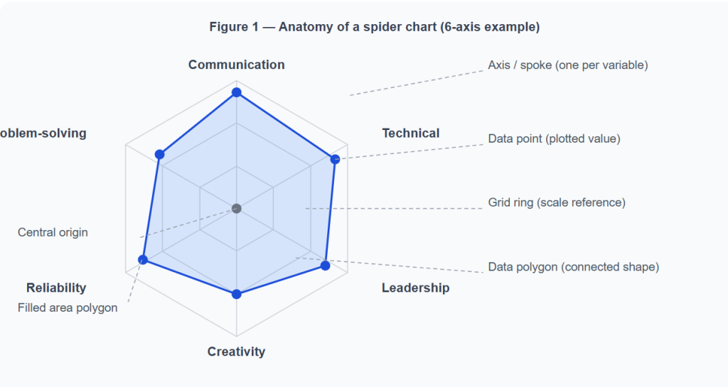 What Is a Spider Chart? A Complete Guide with Examples and Code 2 Anatomy of a spider chart